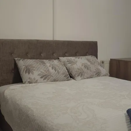 House For 15 In Free Parking Area * Skopje